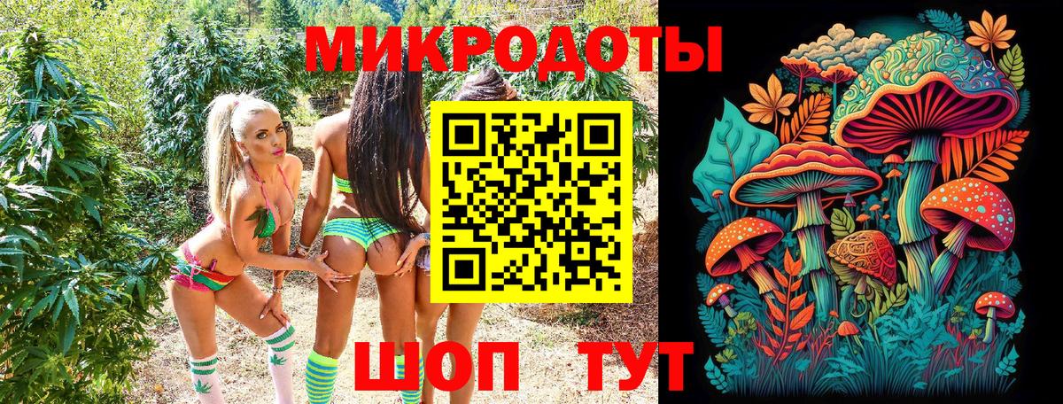 Псилоцибиновые грибы GOLDEN TEACHER  Псилоцибиновые грибы ЛСД  Вязники  Вход с VPN 