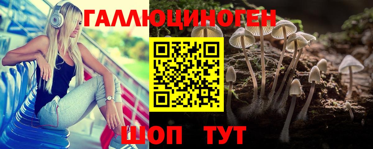 Псилоцибиновые грибы Psilocybine cubensis Вязники